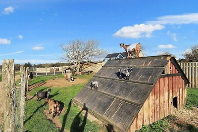 Accogliente cabina da campeggio a Lokken