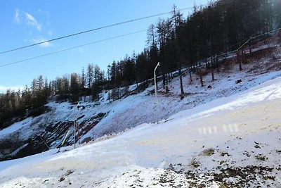 Herbstkrokusse Nr. C208