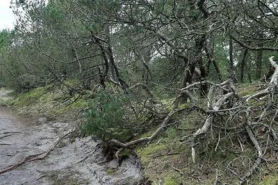 24 persoons vakantie huis in Nørre Nebel