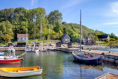 Vakantiehuis Ontspannende vakantie Hasle