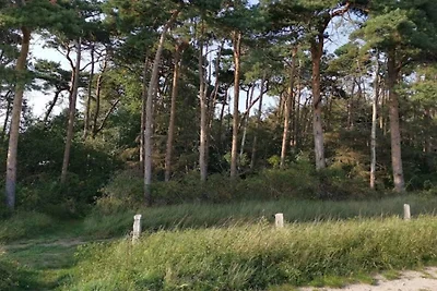 Maison de vacances pour 10 a Idestrup