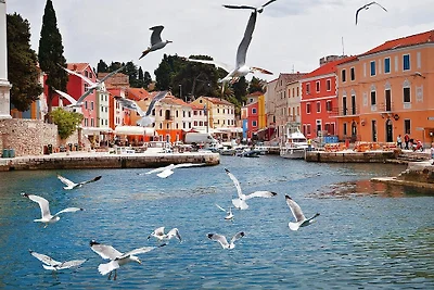 Appartement Punta in Veli Losinj mit Pool