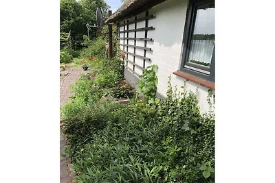 Ferienhaus mit 2 Schlafzimmer
