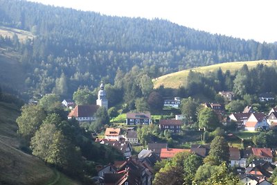 Ferienwohnung in traumhafter Lage im Harz