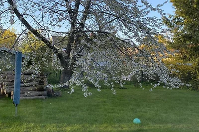 4 Sterne Ferienhaus in ALINGSÅS