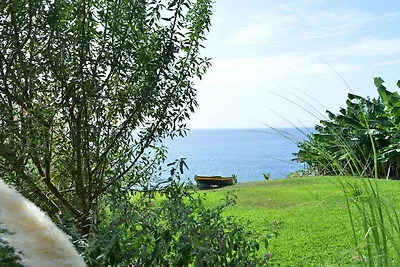 Quinta Golfinho - Villa Palmeira