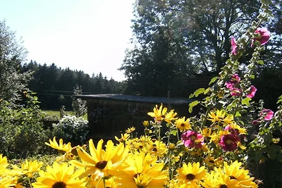 Ober-Kaltenbronnhof