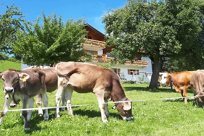 "Rose" auf dem Bauernhof  Berghof Lingg