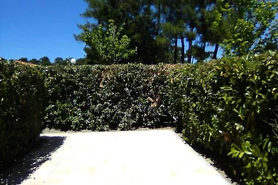 Paradise Ocean Residence