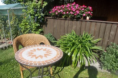 Garden at the house on Blütenweg