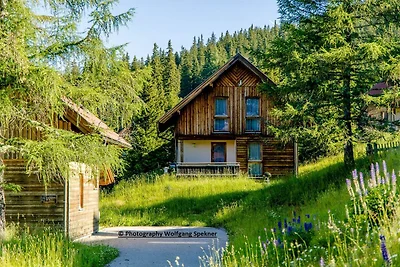 Chalet in de Alpen met Sauna