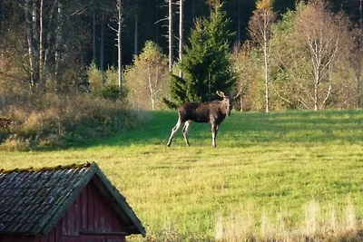 6 Personen Ferienhaus in mellerud