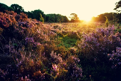 Wellnessurlaub für zwei in Drenthe