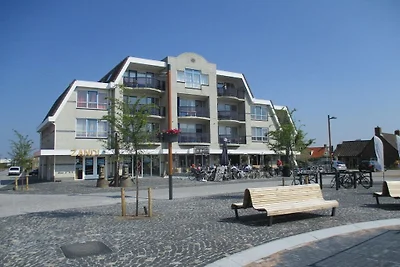 Petten Beach 12