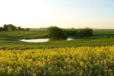 Seehof "Seewiese"