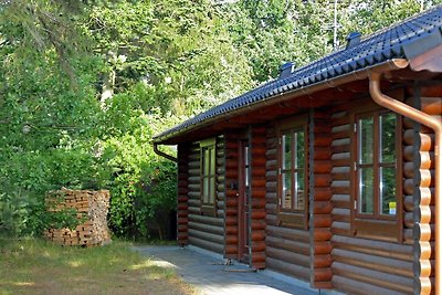 Luxuriöses Ferienhaus mit Sauna in Jütland