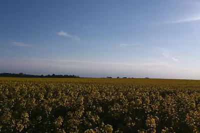 6 Personen Ferienhaus in Jægerspris-By Traum