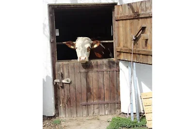 Holzferienhaus beim Bauernhof