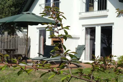 Ferienhaus in Rankwitz mit Schwimmbecken