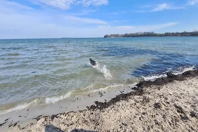 4 Personen Ferienhaus in Haderslev
