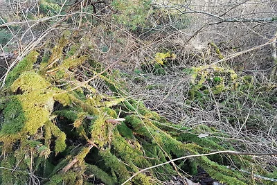 10 Personen Ferienhaus in Brovst