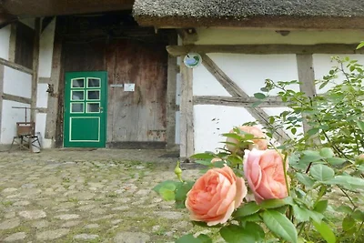 Gezellig huisje met rieten dak