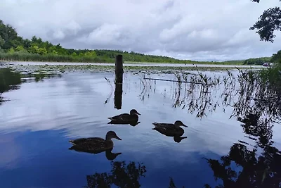 Exklusives skandinavisches Ferienhaus