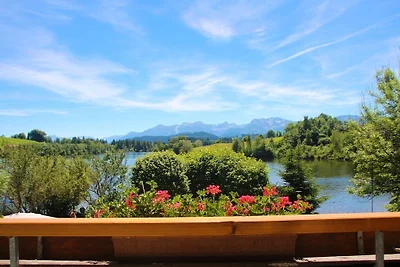 Am Schwaltenweiher