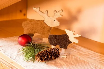 Appartamento Suaut nella Casa Mussner