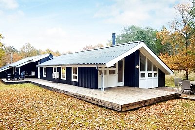 5 Sterne Ferienhaus in Ålbæk