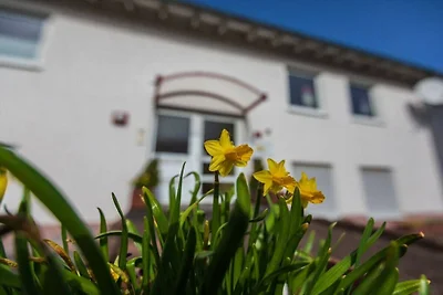 Zonnebloemen, terras en uitzicht op de Moezel