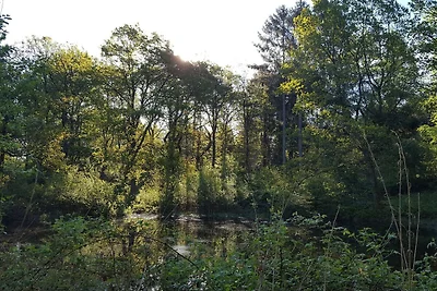 30 Personen Ferienhaus in Ebeltoft-By Traum