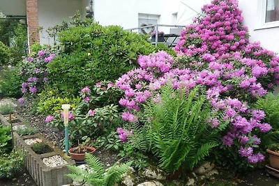 Appartamento per vacanze con 1 camera da...