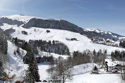 Appartement bij het skigebied Maria Alm