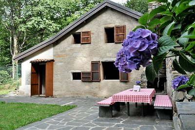 Typisch, romantisch Ticino-huisje