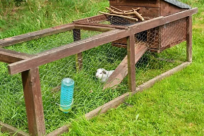 Garten (Sommer) Garten (Sommer)