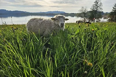 Agriturismo sul lago