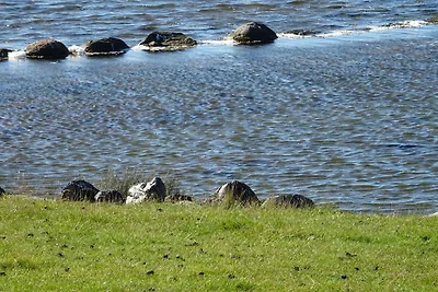 Ferienwohnung Sturmeck, Fehmarn-Orth