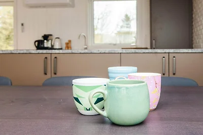 Kuća za odmor Dopust za oporavak Ringkøbing