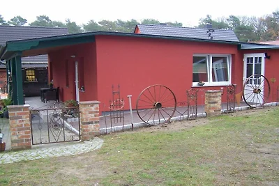 Ferienhaus in Loddin mit Schwimmbecken