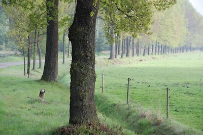 Geräumiges Ferienhaus in Borkel en Schaft mit...