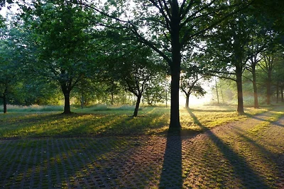 Kleine Ferienwohnung am Wulfkamp