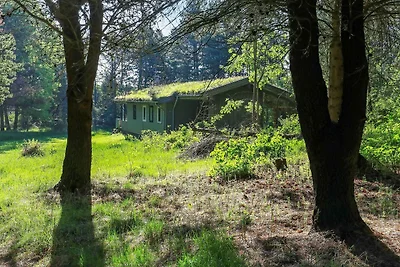 6 persoons vakantie huis in Blokhus-By Traum
