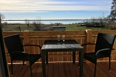 Darss vakantie met en zonder hond