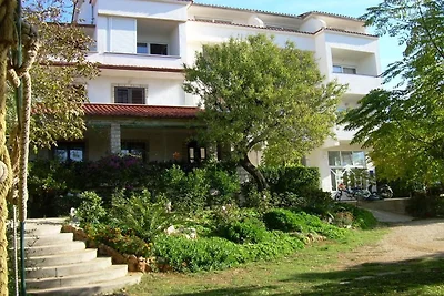 Rab Diving Mirko - One Bedroom Apartment with...