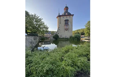 Wohnung in Geisenheim mit Schwimmbecken