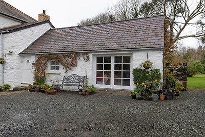 Deluxe Holiday Home in Ceredigion with Garden