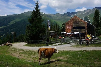 Appartamento in Tirolo vicino al fiume