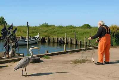 6 Personen Ferienhaus in Ulfborg-By Traum
