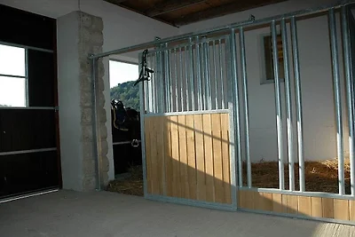 Apartament wakacyjny z 1 sypialnią